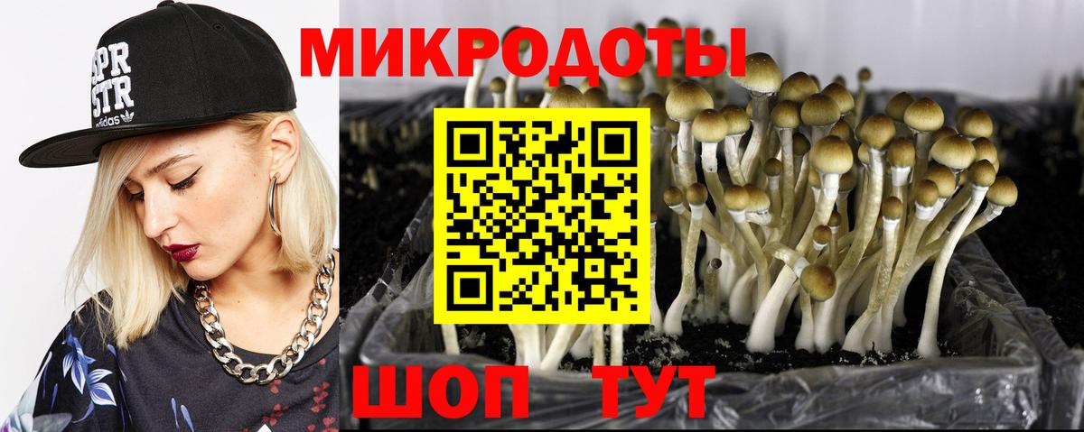Галлюциногенные грибы Magic Shrooms Дивногорск